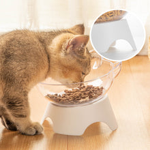 Load image into Gallery viewer, Angry Factory 15 Degree Tilted Pet Raised Bowl with Stand for Cats and Dogs
