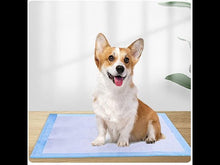 Load and play video in Gallery viewer, 30 Counts 6 Layers Puppy Pads Leak Proof Pee Pads for dogs with Quick-Dry Surface
