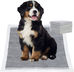 10 Counts L Sizes Charcoal Puppy Pads Say Goodbye to Stinky Wee Wee Pads Forever