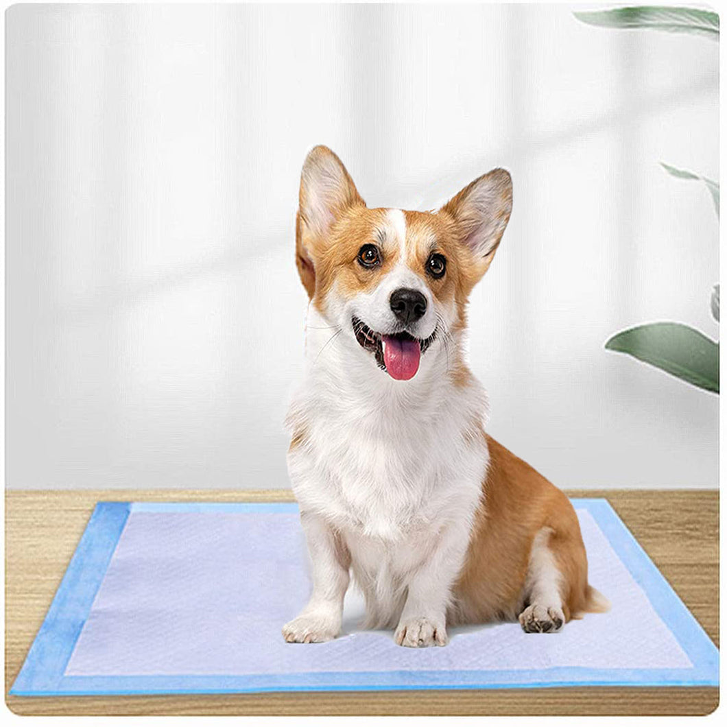 Small Wee Wee Pads for Dogs Puppy Pads Leak-proof 6 Layer Pee Pads with Quick Dry Surface for Training Dog 0