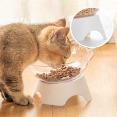 Angry Factory 15 Degree Tilted Pet Raised Bowl with Stand for Cats and Dogs