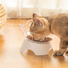 將圖片載入圖庫檢視器 Angry Factory 15 Degree Tilted Pet Raised Bowl with Stand for Cats and Dogs
