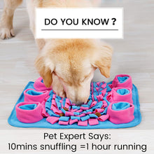 將圖片載入圖庫檢視器 Pet Snuffle Mat for Dog 4
