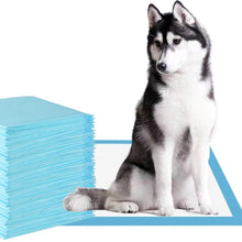 Load image into Gallery viewer, Large Wee Wee Pads for Dogs Puppy Pads Leak-proof 6 Layer Pee Pads with Quick Dry Surface for Training Dog 0

