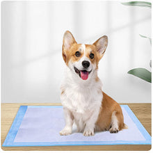 Load image into Gallery viewer, Small Wee Wee Pads for Dogs Puppy Pads Leak-proof 6 Layer Pee Pads with Quick Dry Surface for Training Dog 0
