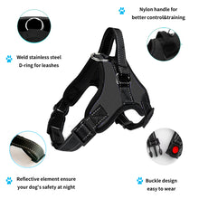 Load image into Gallery viewer, Reflective No Pull Dog Harness and 5 Ft Long Comfy Padded Leash for 13-22lbs Small Dogs Puppy
