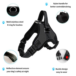 Reflective No Pull Dog Harness and 5 Ft Long Comfy Padded Leash for 13-22lbs Small Dogs Puppy