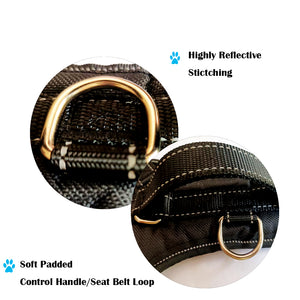 Reflective No Pull Dog Harness and 5 Ft Long Comfy Padded Leash for 13-22lbs Small Dogs Puppy