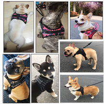 將圖片載入圖庫檢視器 Reflective No Pull Dog Harness and 5 Ft Long Comfy Padded Leash for 13-22lbs Small Dogs Puppy
