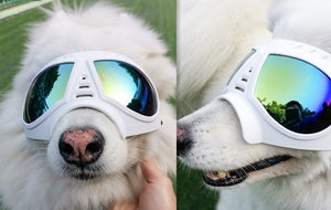 Cool Dog Sun Glasses UV Protection Windproof Goggles Pet Eye Wear Dog Swimming Skating Glasses Pet Accessories