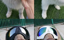 將圖片載入圖庫檢視器 Cool Dog Sun Glasses UV Protection Windproof Goggles Pet Eye Wear Dog Swimming Skating Glasses Pet Accessories
