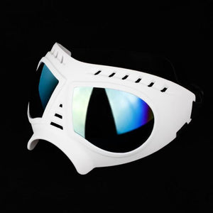 Cool Dog Sun Glasses UV Protection Windproof Goggles Pet Eye Wear Dog Swimming Skating Glasses Pet Accessories